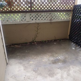 Eco Junk - Crystal clear - Junk Removal & Hauling Near Me