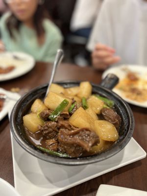 Golden Pheasant by null