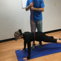 Photo of Improve Your Move Personal Fitness