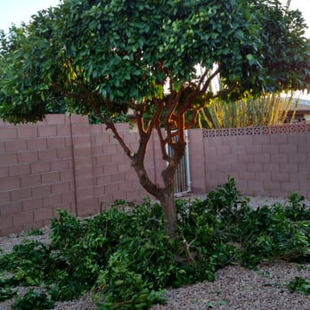 Valley Firewood - Tree Services Near Me - Chandler, Arizona