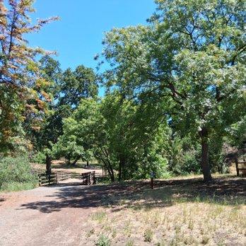 Markham Nature Park & Arboretum - Parks Near Me - Concord, California