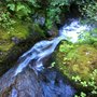 Photo of Shadow Falls
