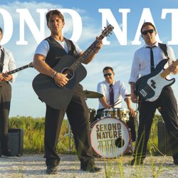 Live Music for ANY and ALL events!