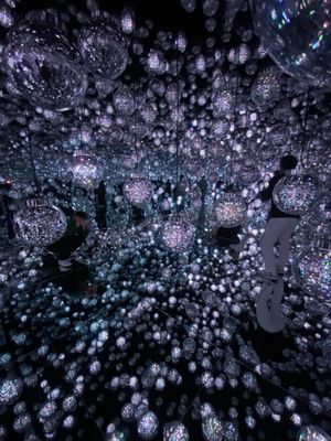 teamLab Borderless: MORI Building DIGITAL ART MUSEUM by null