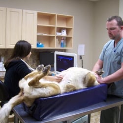 Niagara Veterinary Emergency Clinic