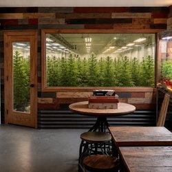 Indica Cafe