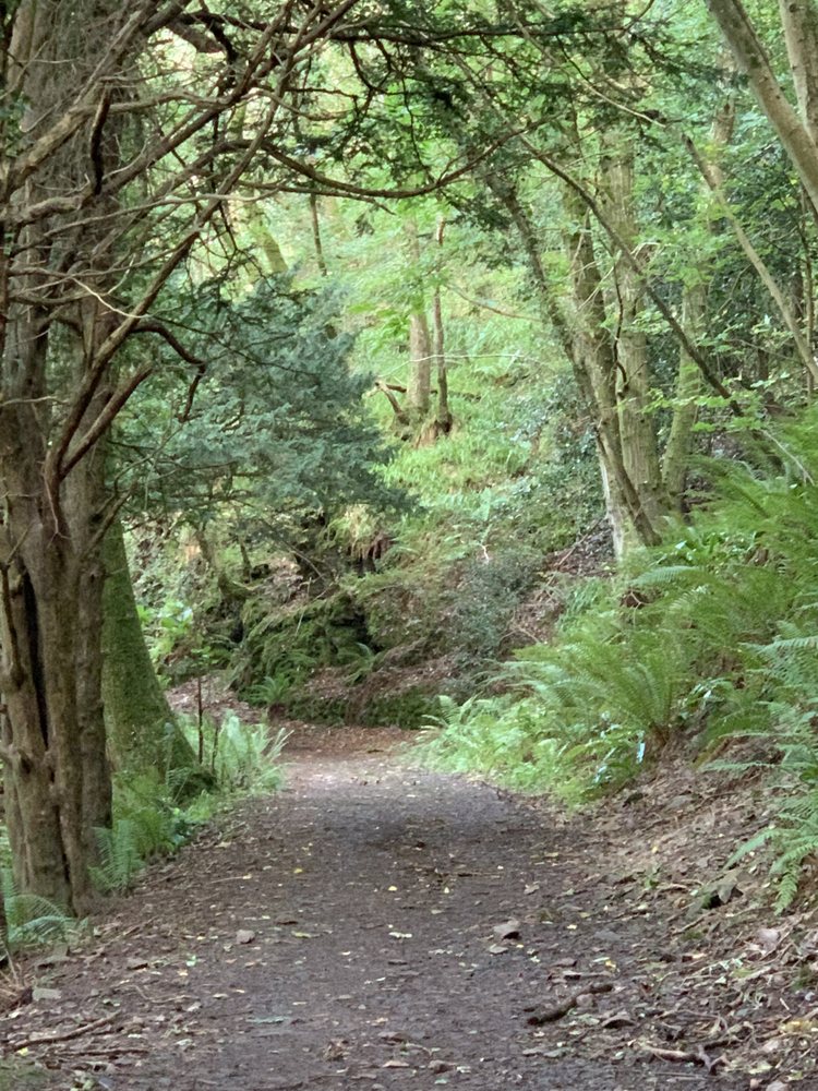 HARPS AND HALOS 77 Updated July 2024 233 E Main St, Reedsburg