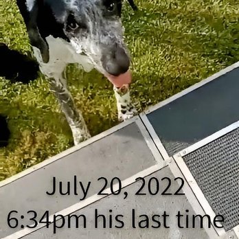 MedVet Akron - Akron Med-Vet emergency hospital did nothing to help him! - Veterinarians Near Me - Akron, Ohio