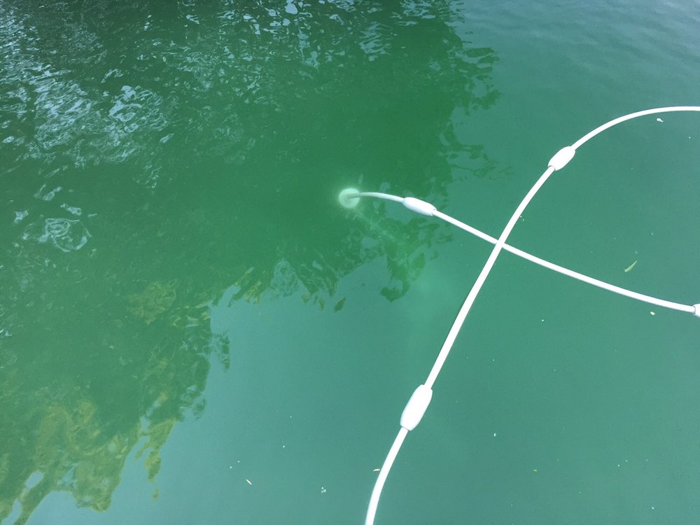 GRAPEVINE POOL AND SPA Updated June 2024 39 Photos Grapevine