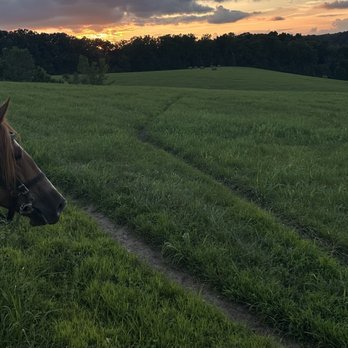 Natchez Trace Stables - Sunset horse ride - Horseback Riding Near Me - Primm Springs, Tennessee Natchez Trace Stables - Sunset horse ride - Horseback Riding Near Me - Primm Springs, Tennessee
