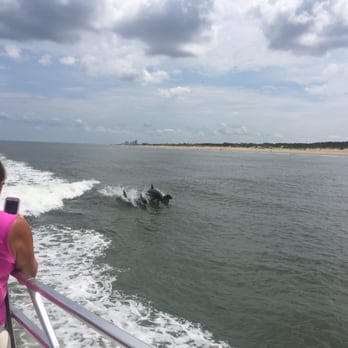 Rudee Tours - Dolphins riding our wake - Tours Near Me - Virginia Beach, Virginia Rudee Tours - Dolphins riding our wake - Tours Near Me - Virginia Beach, Virginia