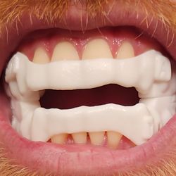 Hawkes Dental