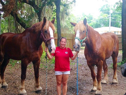 Sea Island Carriage Company by null