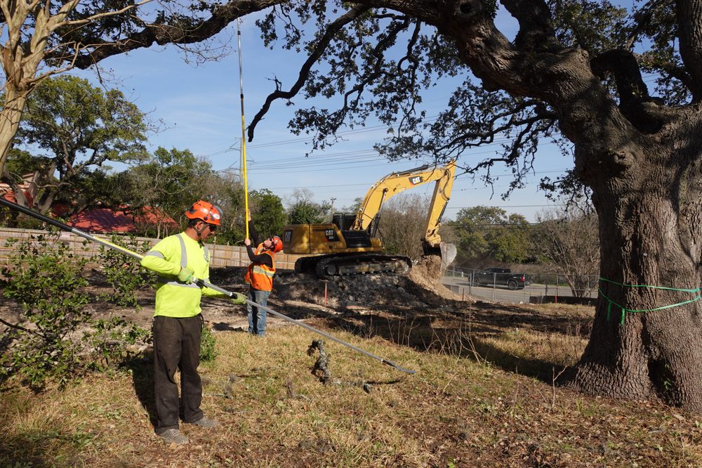 Canopy Tree Service - tree service in San Antonio, TX
