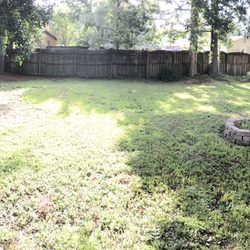 Damer Digs - Yard cleanup