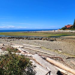 Roberts Creek Regional Park - Roberts Creek