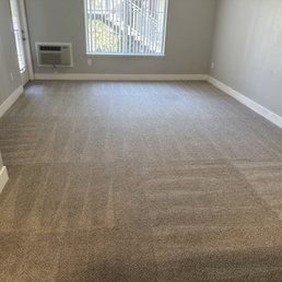 Carpet Carpet