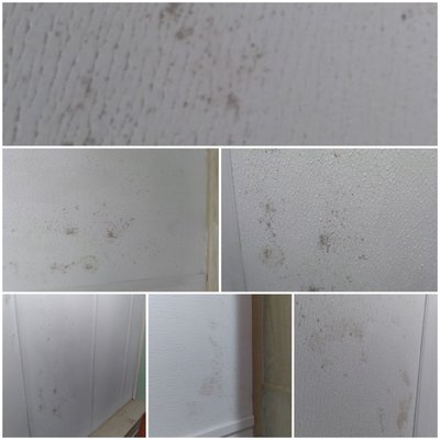 Quality Roofing Logo