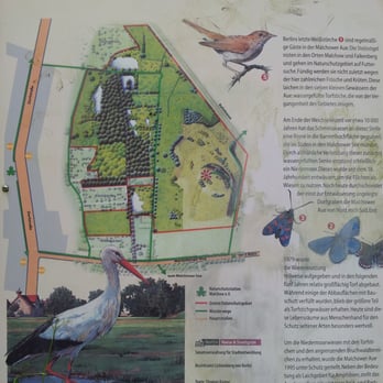 Malchower Aue - Parks Near Me - Berlin, BE
