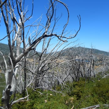Stonewall Peak Trail - Parks Near Me - Descanso, California Stonewall Peak Trail - Parks Near Me - Descanso, California