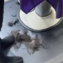 Photo of Silvia's Hair Design