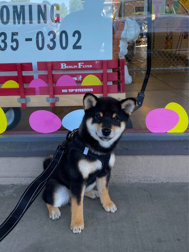 MY PAL PET SUPPLIES & GROOMING Updated July 2024 15 Photos & 53