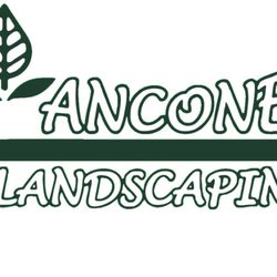 Ancone Landscaping