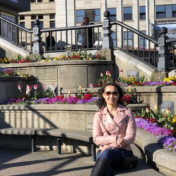Parliament Buildings - 04/01/2018: Pretty flowers by the stairs - Landmarks & Historical Buildings Near Me - Victoria, British Columbia