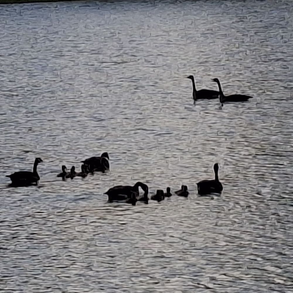 Lake Patsy - Lakes Near Me - Oxford, Mississippi