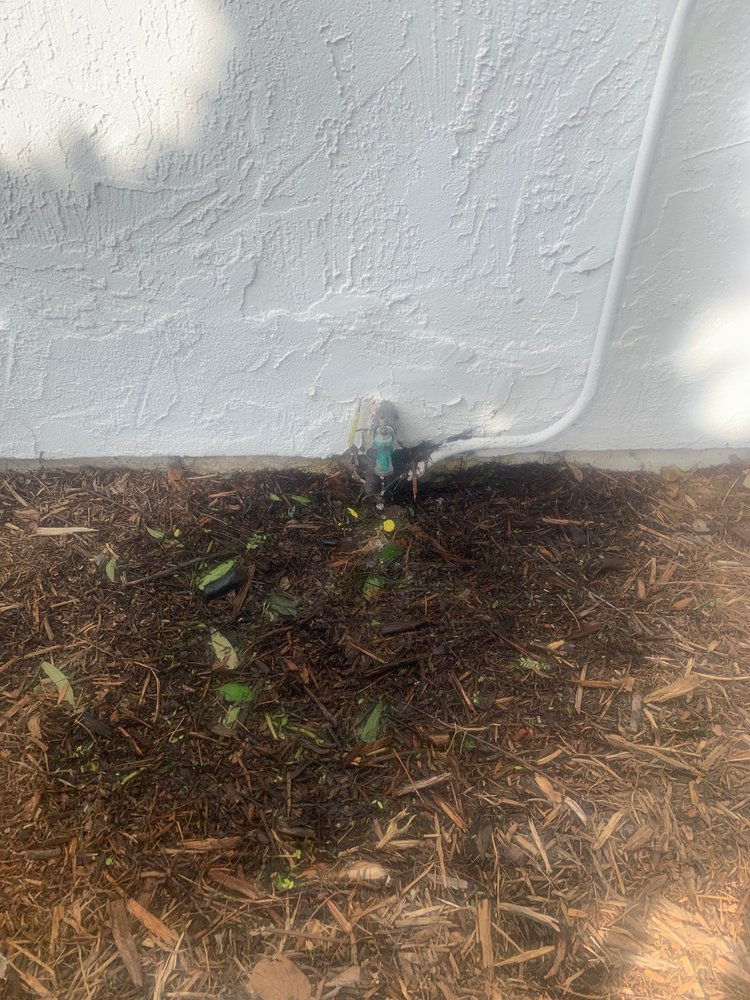 Le Perv Landscape - tree service in San Diego, CA