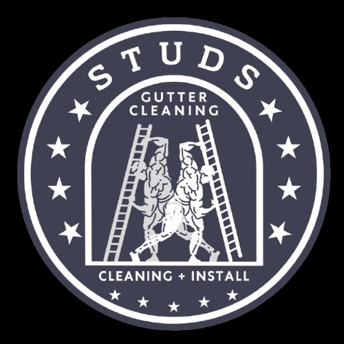 Slide of Studs Gutter Cleaning