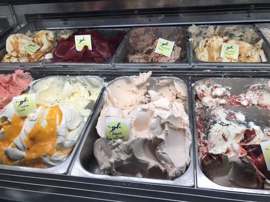 Cow & The Moon by null