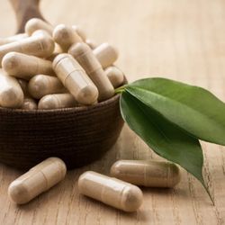 Licata Enterprises - Enzymes - Probiotics - Nutritional Oils