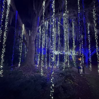 Brookgreen Gardens - Museums Near Me - Murrells Inlet, South Carolina