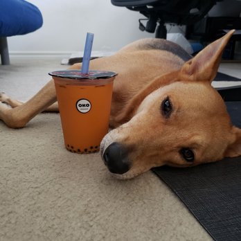 Oko Cafe - The sumo size compared to my dog head - Cafes Near Me - Gardena, California