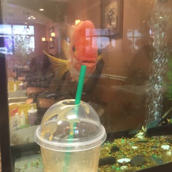 Luxy Nail Spa - Fish enjoying a sip of my coffee - Nail Salons Near Me - Dothan, Alabama Luxy Nail Spa - Fish enjoying a sip of my coffee - Nail Salons Near Me - Dothan, Alabama