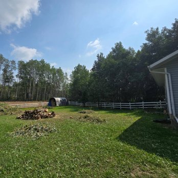 Rafter Seven Tree Management - A monster willow removal in Parkland County - Tree Services Near Me Rafter Seven Tree Management - A monster willow removal in Parkland County - Tree Services Near Me