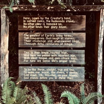 Drive-Thru Tree - Loved this poem at the Chandelier Tree - Parks Near Me - Leggett, California