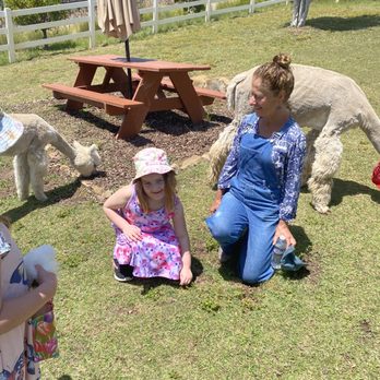 Canzelle Alpacas - Farms Near Me - Carpinteria, California Canzelle Alpacas - Farms Near Me - Carpinteria, California