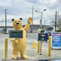 Photo of Brown Bear Car Wash
