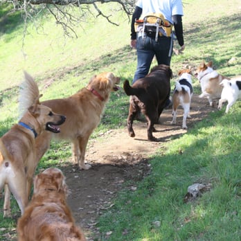 Loose Leash - Out with friends - Dog Walkers Near Me Loose Leash - Out with friends - Dog Walkers Near Me