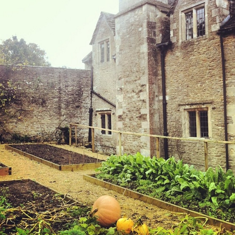 Guyers House Hotel - Vegetable patch in the garden - Hotels Near Me - Corsham, WIL
