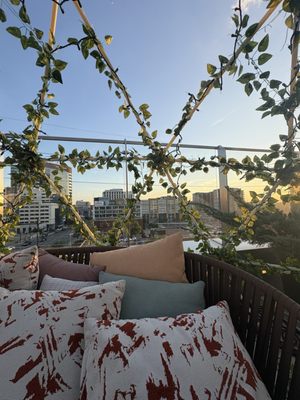 Thistle and Rye by null