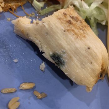Rancho Chico Restaurant - Tamale with mold - Mexican Near Me - Plainville, Massachusetts