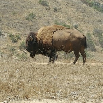Catalina Expeditions - Tours Near Me - Avalon, California