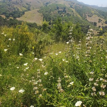 Weir Canyon Trailhead - Hiking Near Me - Anaheim, California