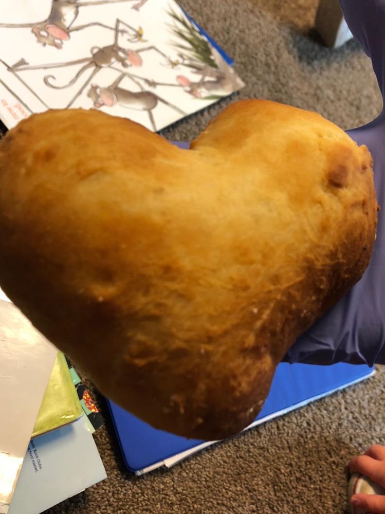 West Suburban Temple Har Zion - childcare center in River Forest, IL