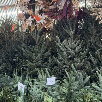 Nelly's Flower Shop - Florists Near Me - Brooklyn, New York Nelly's Flower Shop - Florists Near Me - Brooklyn, New York