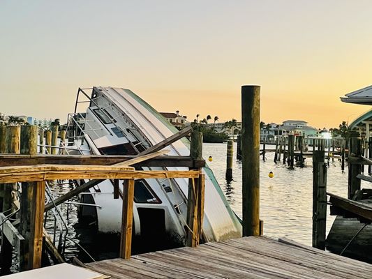 Dixie Fish Company by null
