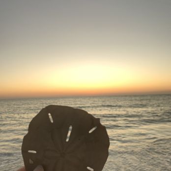 Lido Beach - Sand dollar sunset - Beaches Near Me - Sarasota, Florida Lido Beach - Sand dollar sunset - Beaches Near Me - Sarasota, Florida